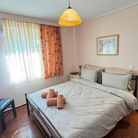 Apartamento το σπίτι δίπλα στο ποτάμι Trikala (Thessaly)